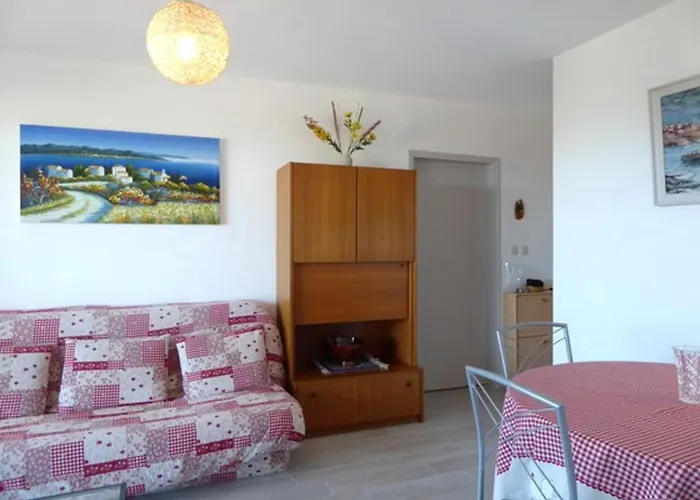 Διαμέρισμα 2 Pieces + Cabine, 6 Pers., Proche Plage, Garage, Animaux Bienvenus - Fr-1-776-84