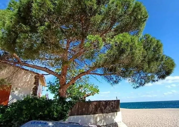 Διαμέρισμα 2 Pieces + Cabine, 6 Pers., Proche Plage, Garage, Animaux Bienvenus - Fr-1-776-84