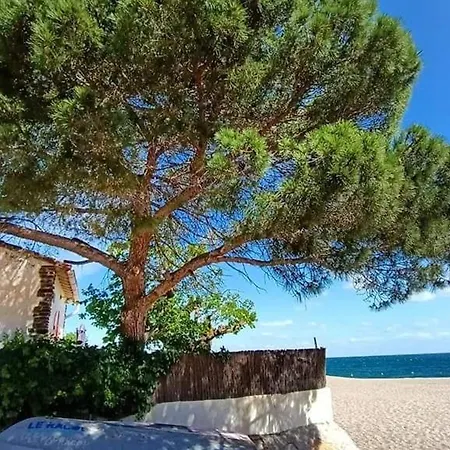 Apartmán 2 Pieces + Cabine, 6 Pers., Proche Plage, Garage, Animaux Bienvenus - Fr-1-776-84