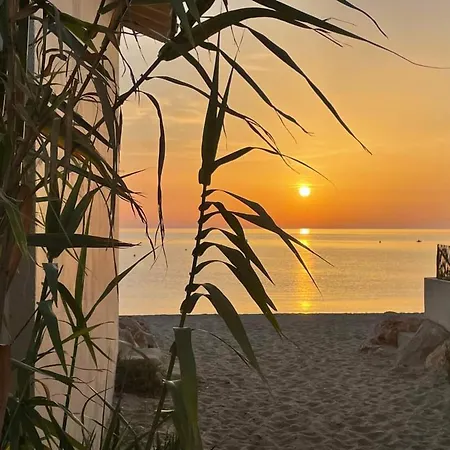 Lejlighed 2 Pieces + Cabine, 6 Pers., Proche Plage, Garage, Animaux Bienvenus - Fr-1-776-84 Argelès-sur-Mer