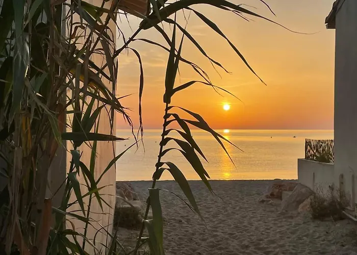 Appartamento 2 Pièces + Cabine, 6 Pers., Proche Plage, Garage, Animaux Bienvenus - Fr-1-776-84 Argelès-sur-Mer